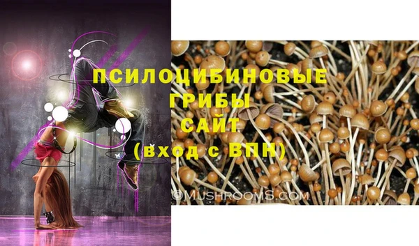 а пвп мука Богданович