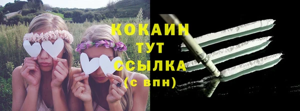 стаф Белокуриха