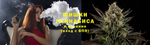 стаф Белокуриха