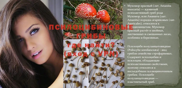 mdpv Беломорск