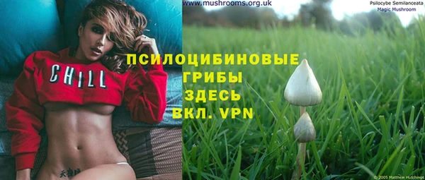 стаф Белокуриха