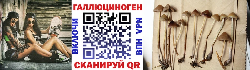 гидра ONION  как найти наркотики  Ростов-на-Дону  Галлюциногенные грибы мухоморы 